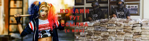 шишки Вязники