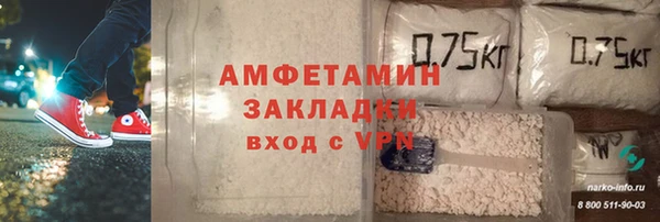 шишки Вязники
