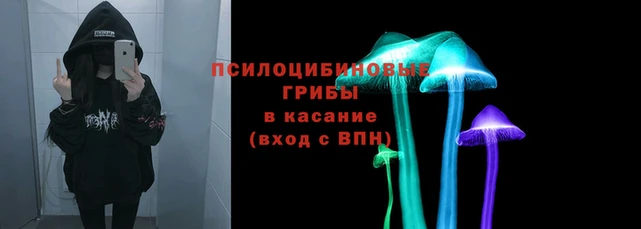 Альфа ПВП Вяземский