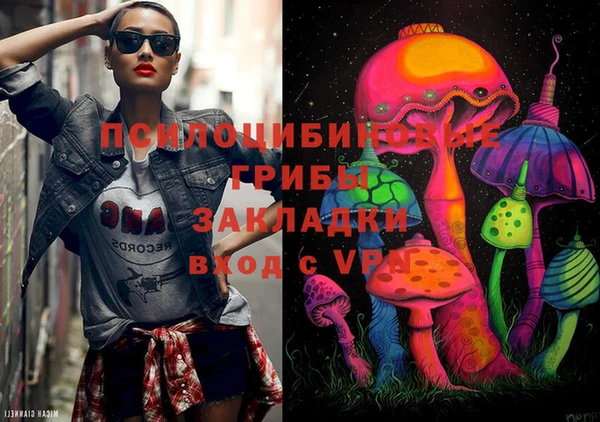 Альфа ПВП Вяземский