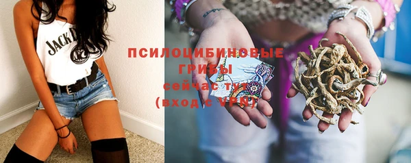 Альфа ПВП Вяземский